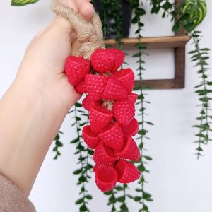 Ahududu Salkım Musluk Sabunu